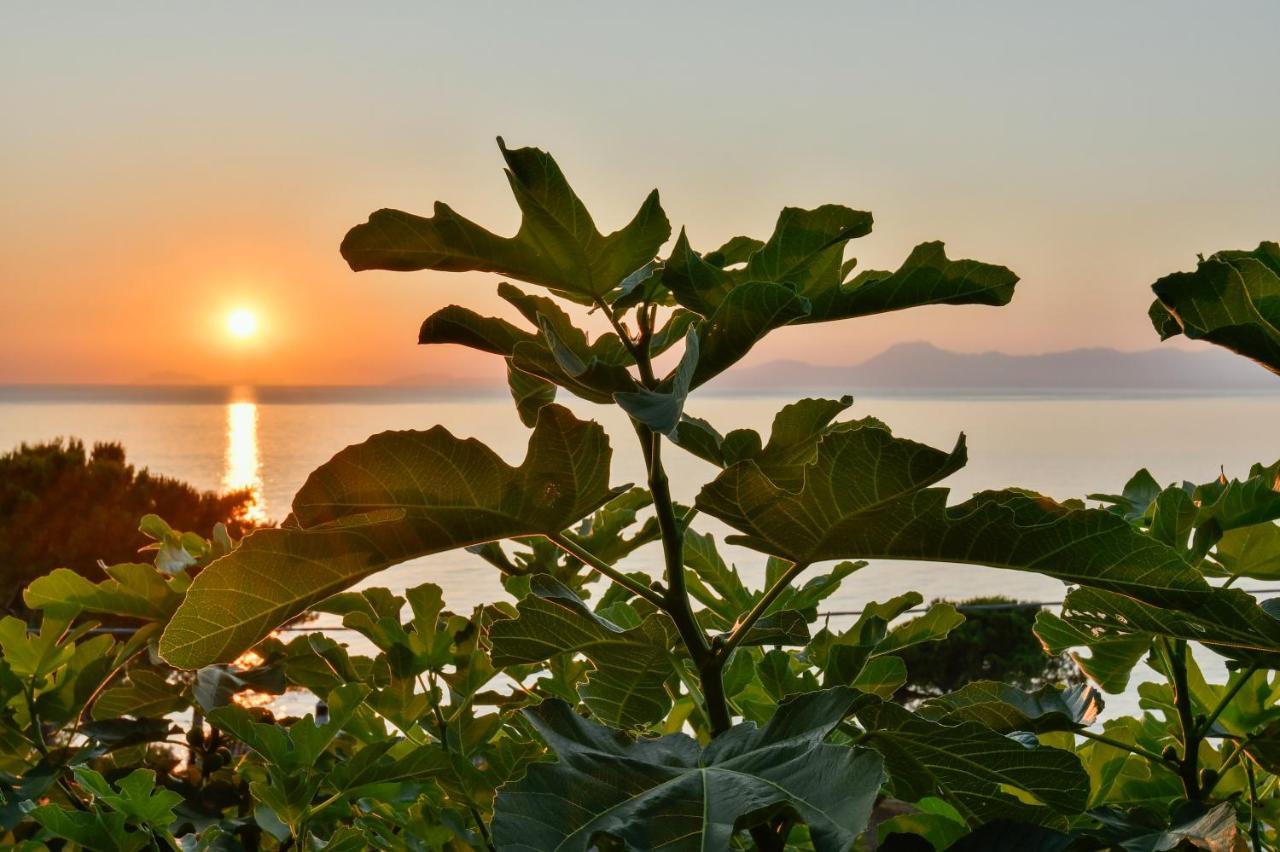 Albeca Boutique Hotel - Relais De Charme Sul Mare Castellabate Ngoại thất bức ảnh