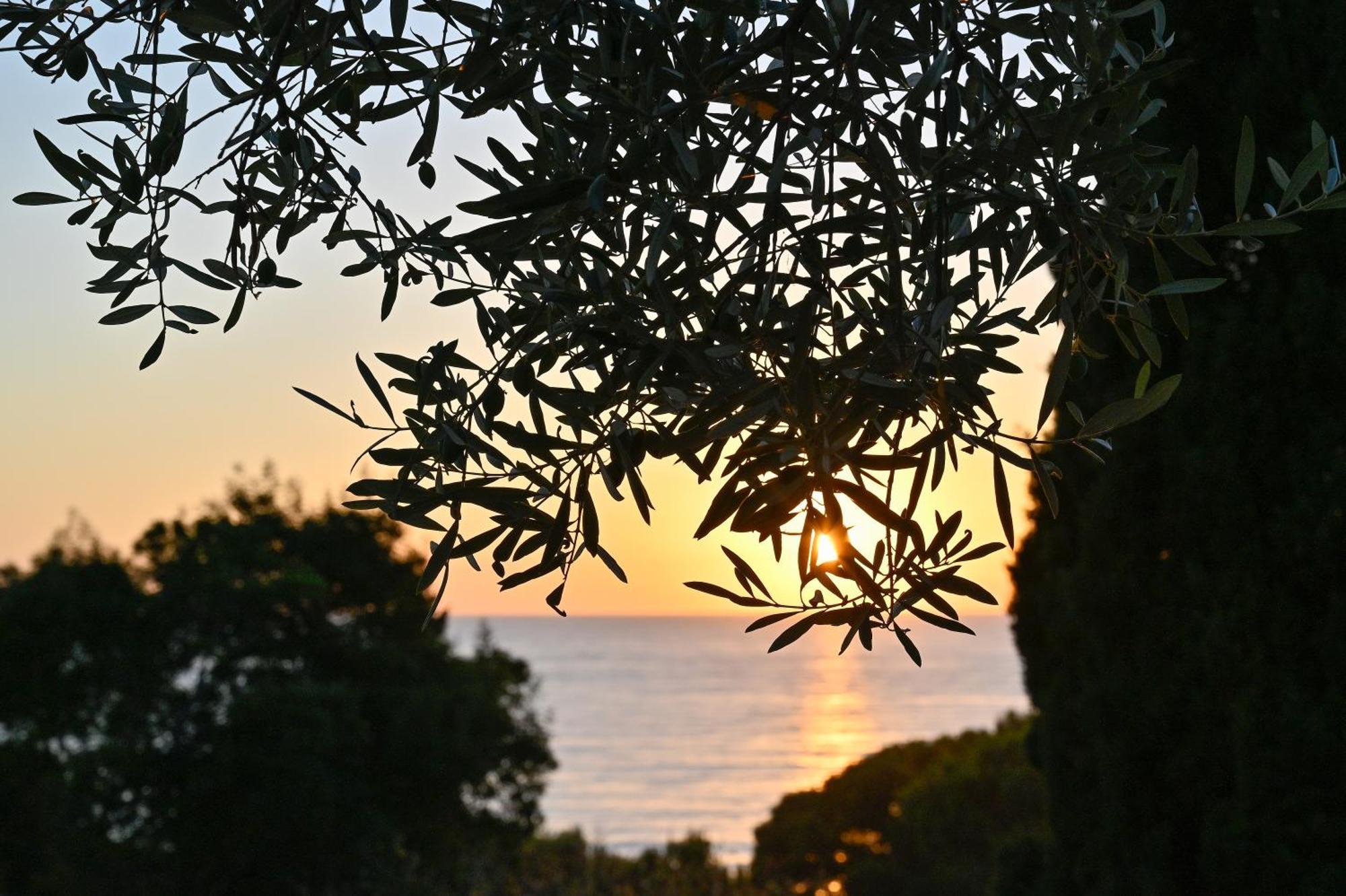 Albeca Boutique Hotel - Relais De Charme Sul Mare Castellabate Ngoại thất bức ảnh