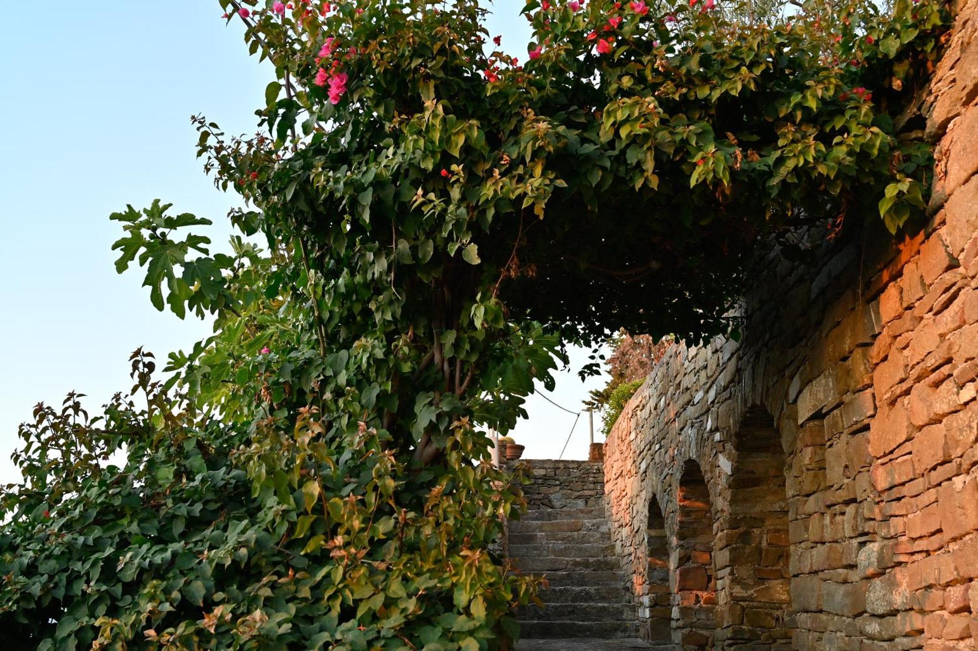 Albeca Boutique Hotel - Relais De Charme Sul Mare Castellabate Ngoại thất bức ảnh